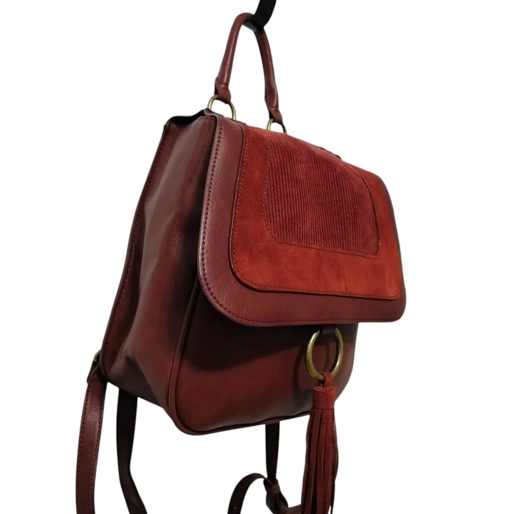 American Eagle Outfitters Burgundy and Dark Brown Backpack
